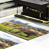 Great Tusker Print