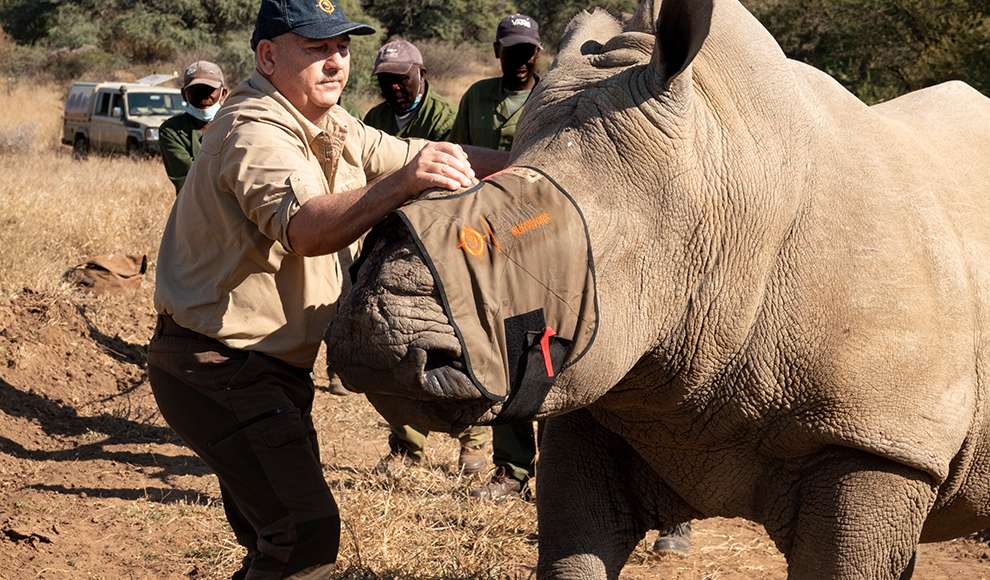 Rhino poaching is on the rise in South Africa