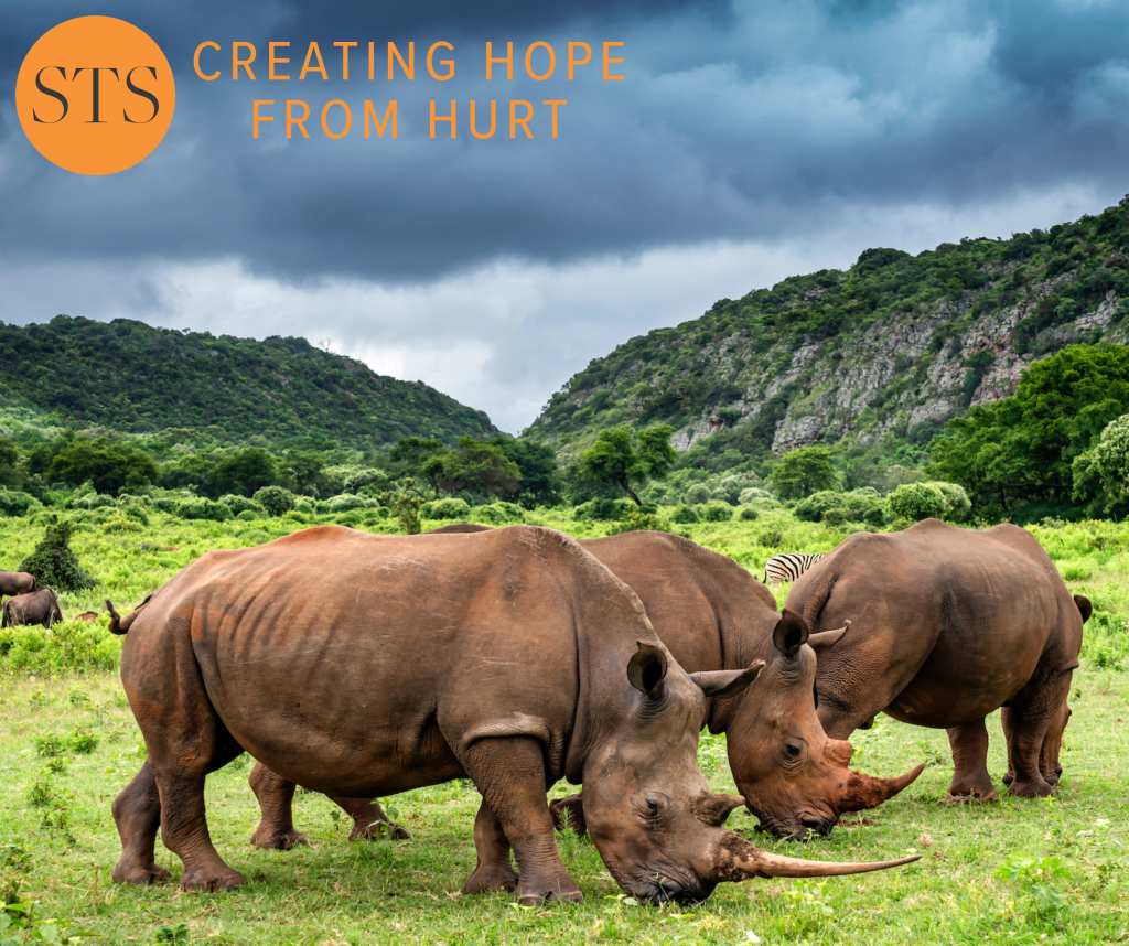 The value of a Rhino